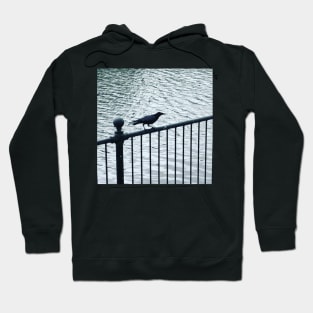 The crow Hoodie